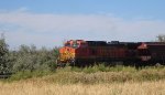 BNSF 4438